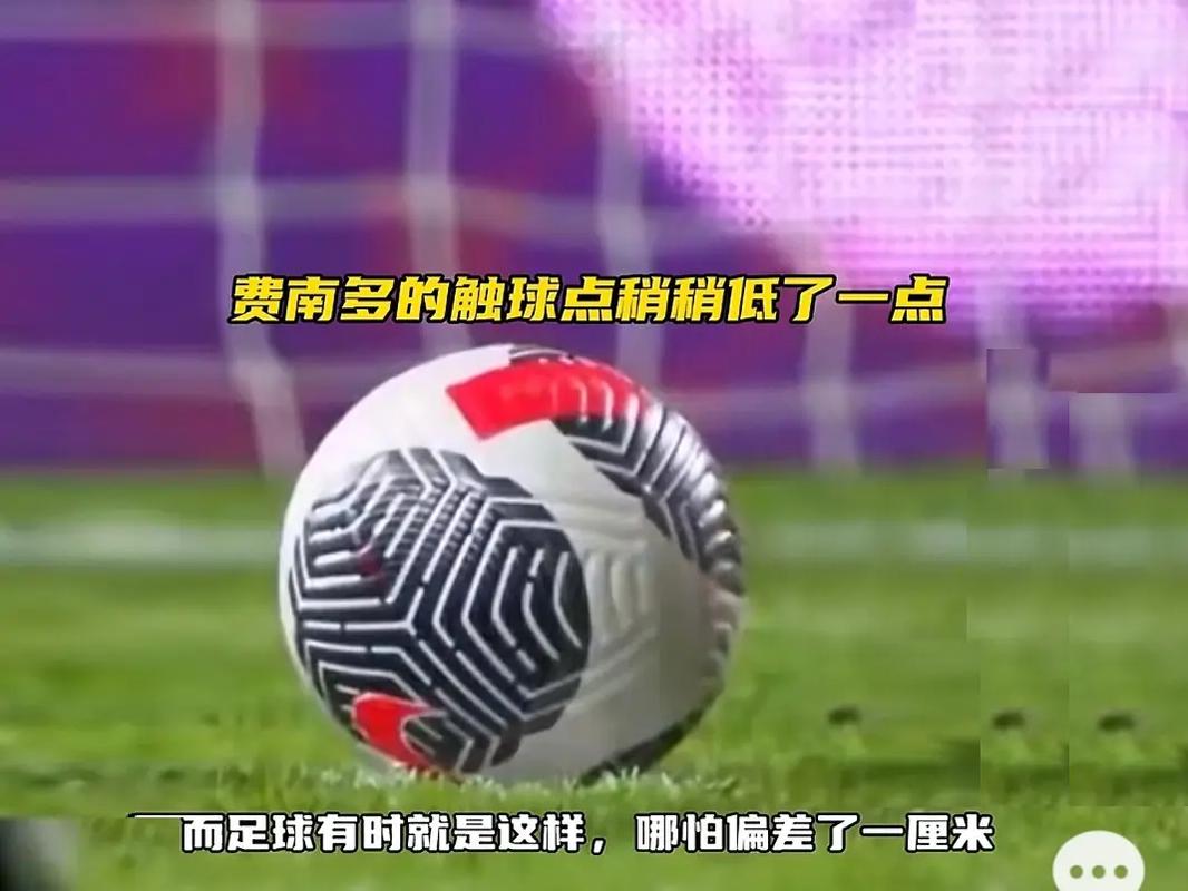 子网球整体