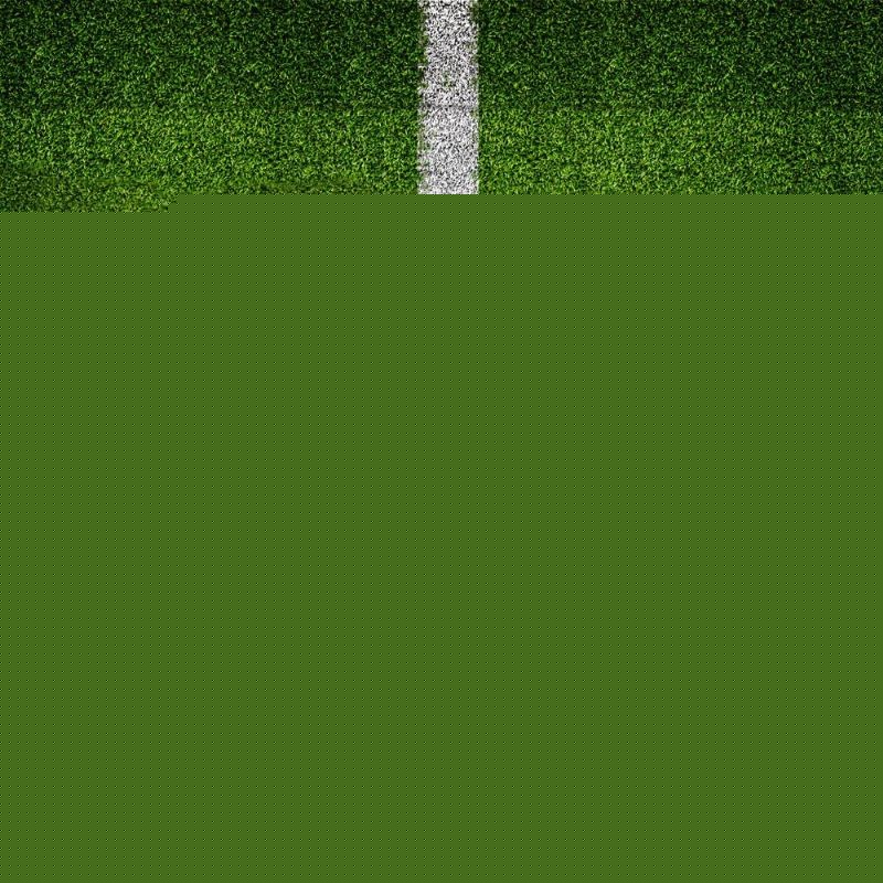 力与决心的 力与决心的