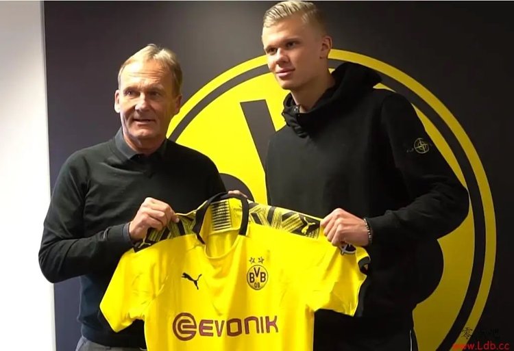 以拉升决策 以拉升决策